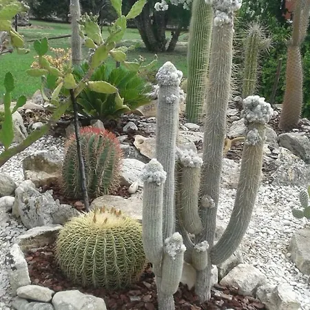 Lemalu'